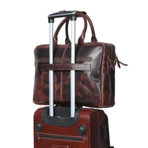 15 e12867b0 f98d 427e ad6a 855e8a92be5d 700x700